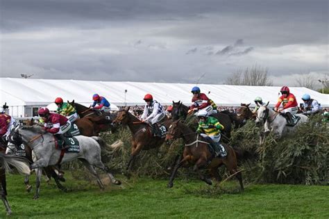 grand national results today|Grand National 2024 result: Where your horse finished .